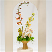 Cymbidium