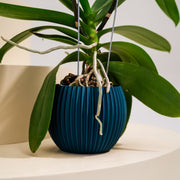 Base Orquídea