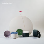 Ikebana