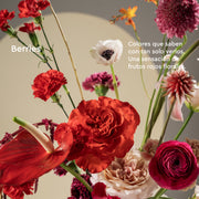 Ikebana