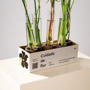 Laboratorio