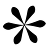 Asterisco personalizado