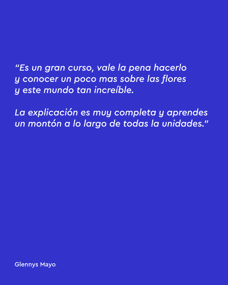Imagen de galería