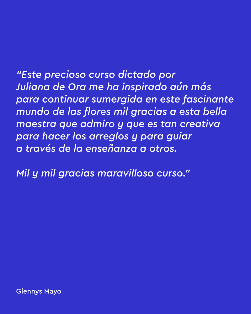Imagen de galería