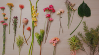 Imagen 2 del curso El arte de los bouquets