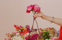 Imagen 3 del curso El arte de los bouquets
